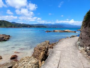 45 Best Luxury Ryokans in Izu Peninsula